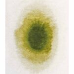 Louis De Poortere tapis, Meditation Green Pepper 2105, Drop design